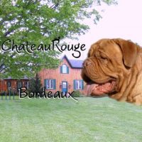Chateau Rouge.jpg